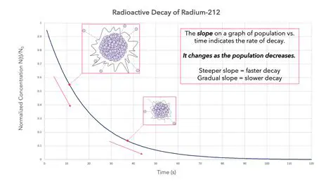 Understanding the Rate of Decay
