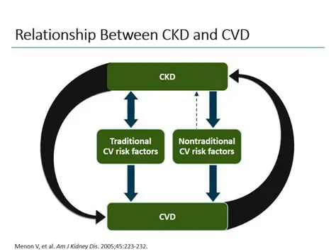Understanding the Relationship between CKD and Cognitive Function