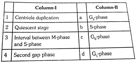 Understanding the Relationship Between Descriptions in Column I and Column II
