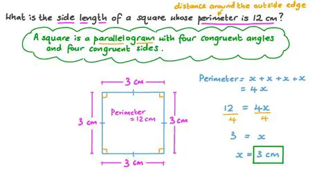 Understanding the Relationship Between Perimeter and Side Length of a Square