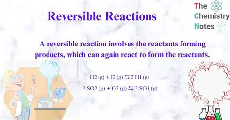 Understanding the Reversible Reaction