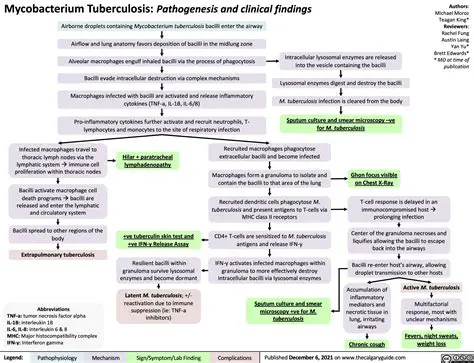 Understanding the Risks of Mycobacterium Tuberculosis