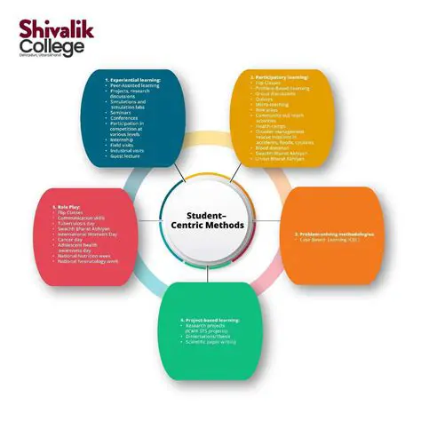 Understanding the Role of a Psychology Intern at the Aquarium