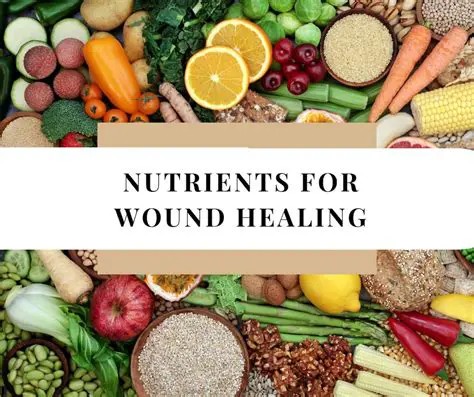 Understanding the Role of Nutrition in Wound Healing