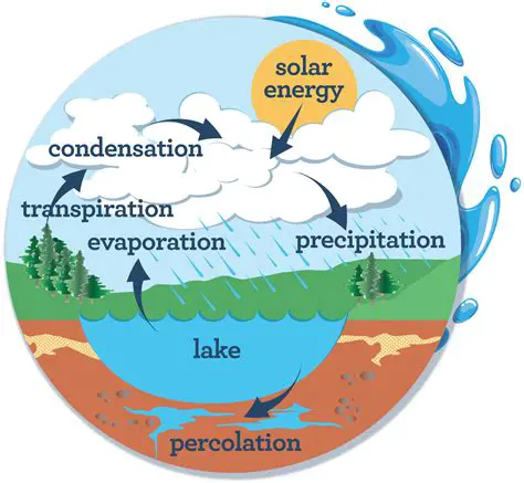 Understanding the Role of Water in Weathering Processes