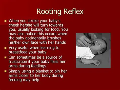 Understanding the Rooting Reflex