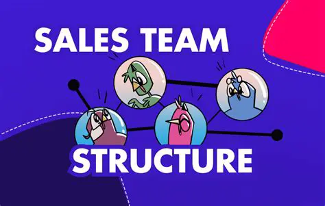 Understanding the Sales Team Member Role