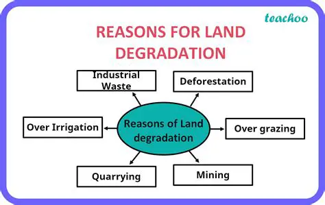 Understanding the Significance of Land in Human Society
