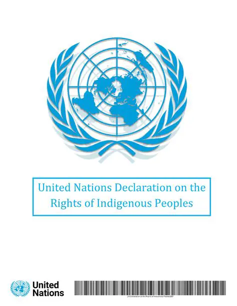 Understanding the United Nations