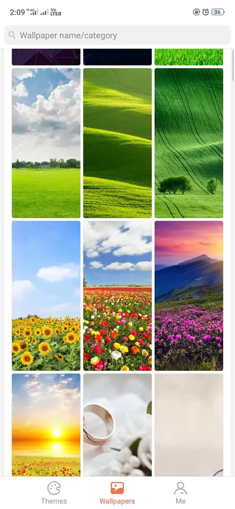 Understanding Theme Store Live Wallpapers