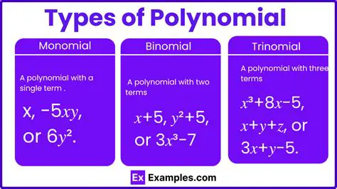 Understanding Trinomials and Polynomials