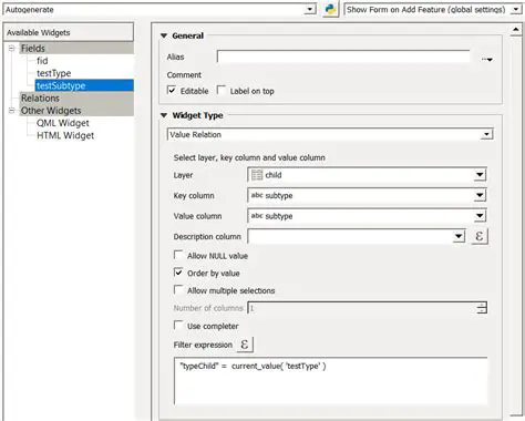 Understanding Value Relation Widget