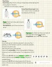 Understanding Visual Acuity