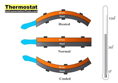 Understanding Your Body's Thermostat: What's Your Temperature, 'Memba'?