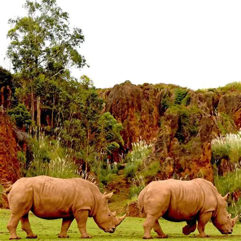 Unfair or Oppressive Conduct