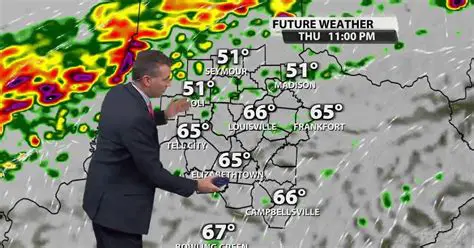 The Unforgettable 'Weather Boy News Clip': How a Young Meteorologist Captured the World's Heart