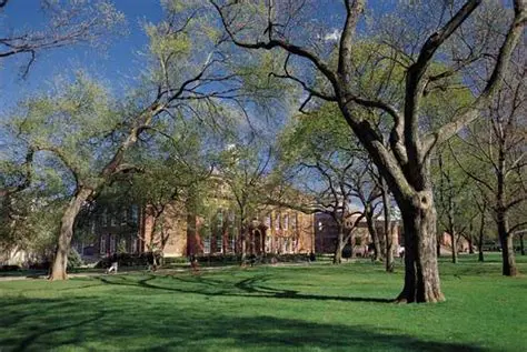 Universitas Hibah Tanah di New Brunswick, New Jersey: Sejarah, Peran, dan Dampaknya