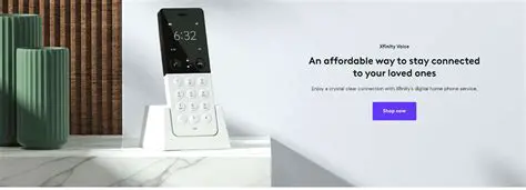 Unlimited Local and Long Distance Calls