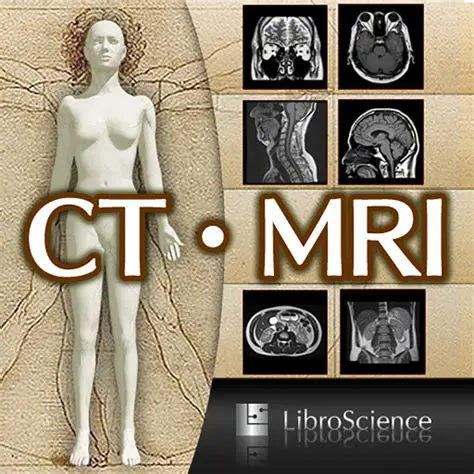 Unlocking the Secrets of Human Anatomy with Interactive CT and MRI Images