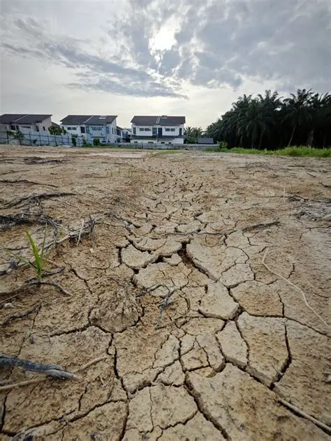 The Unseen Cracks: Navigating the 'I'll Break' Phenomenon in a Stressed World