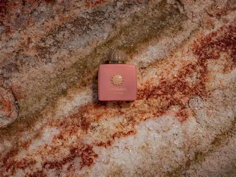 Unveiling the Enigma: A Deep Dive into the World of psewo3hyeyto44se