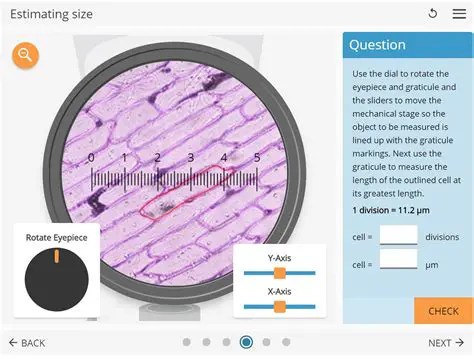 Use a consistent cell size