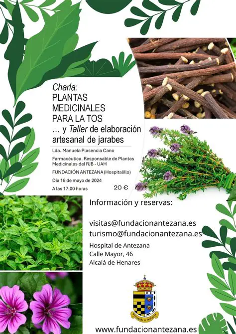 Use a planta medicinal regularmente