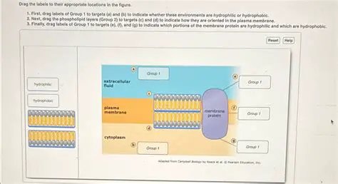 Use it to indicate a direction
