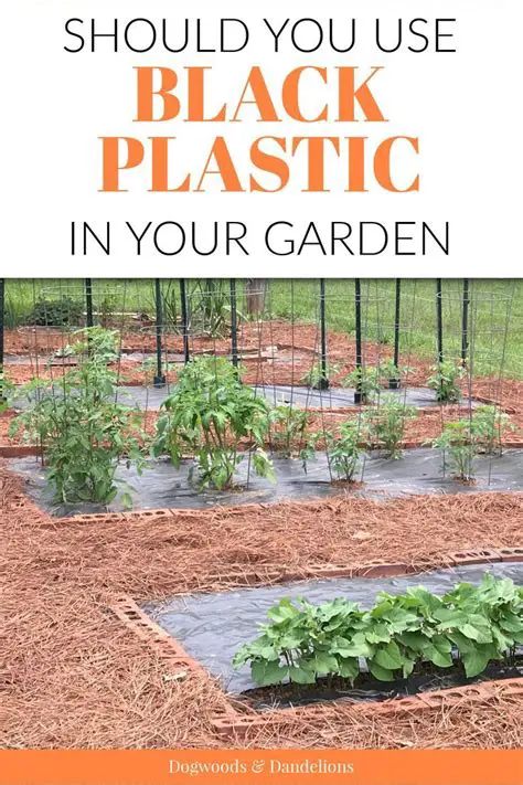 Use of Black Plastic Mulch