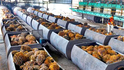 Use of oil palm factory waste as a planting medium