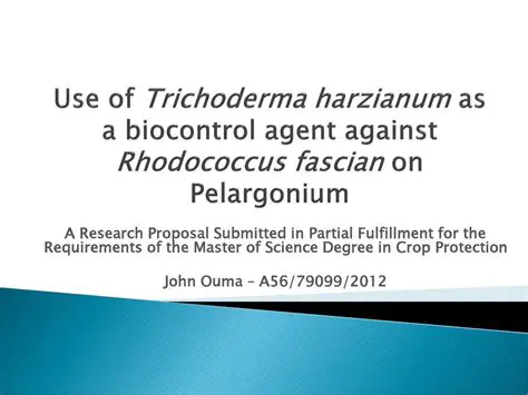 Use of Trichoderma Harzianum