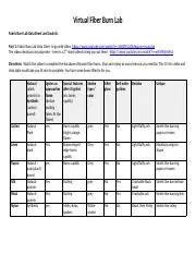 Use the fiber burn analysis method