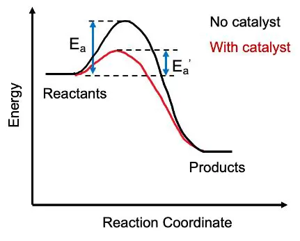 Using alternative catalysts