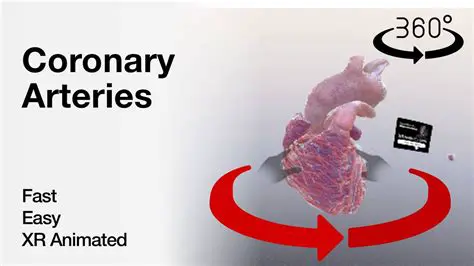 Using Mixed Reality for Coronary Heart Simulation
