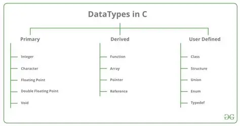 Using the Custom Data Type with Codable