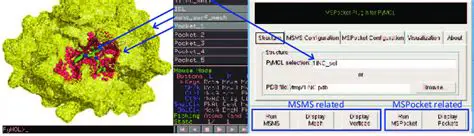 Using the MSMS Plugin for PyMOL