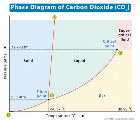 Using the Phase Diagram to Determine the Phase of CO2