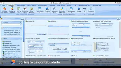 Uso de software de contabilidade