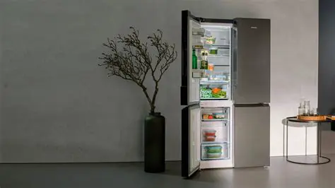 Utilizar una nevera gigante