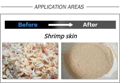 Utilization of Shrimp Skin to Produce Chitosan