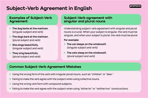 Verb Agreement in the Sentence