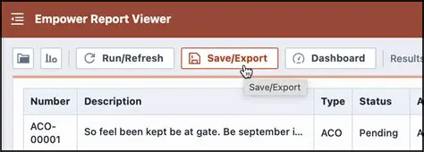 Viewers for Displaying Reports