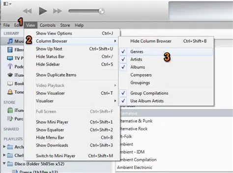 Viewing and Playing iPod Contents
