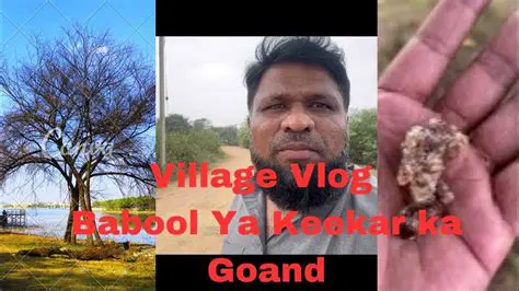 Discovering the Charm: Your Ultimate Guide to Village Vlogging Adventures