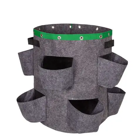 Virtual Assistant Nederlands: The Ultimate Guide to Hiring and Utilizing Dutch-Speaking VAs