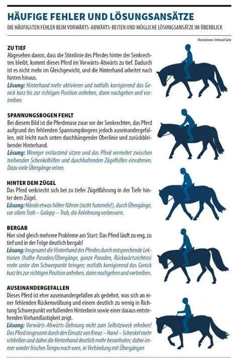 Vorteile des Reitens mit Cavapal