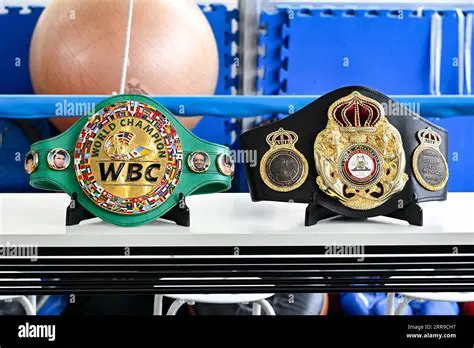WBC Flyweight Championship