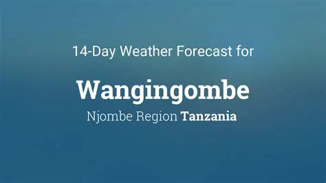 Weather NJombe Tomorrow: Your Essential Forecast for Planning