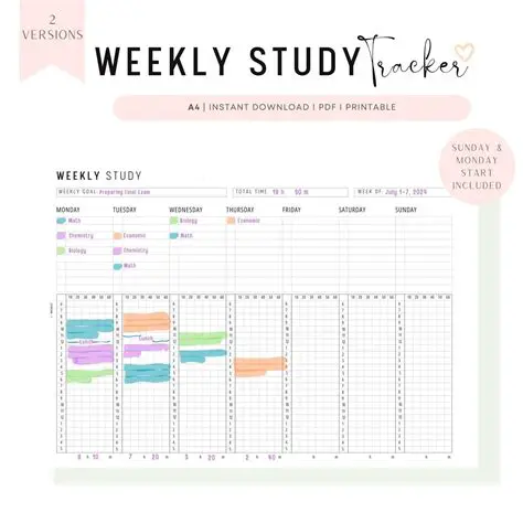 Weekly Study Plan To Keep You Focused