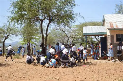 What Should Happen Instead